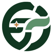 Token Forge Cloud logo
