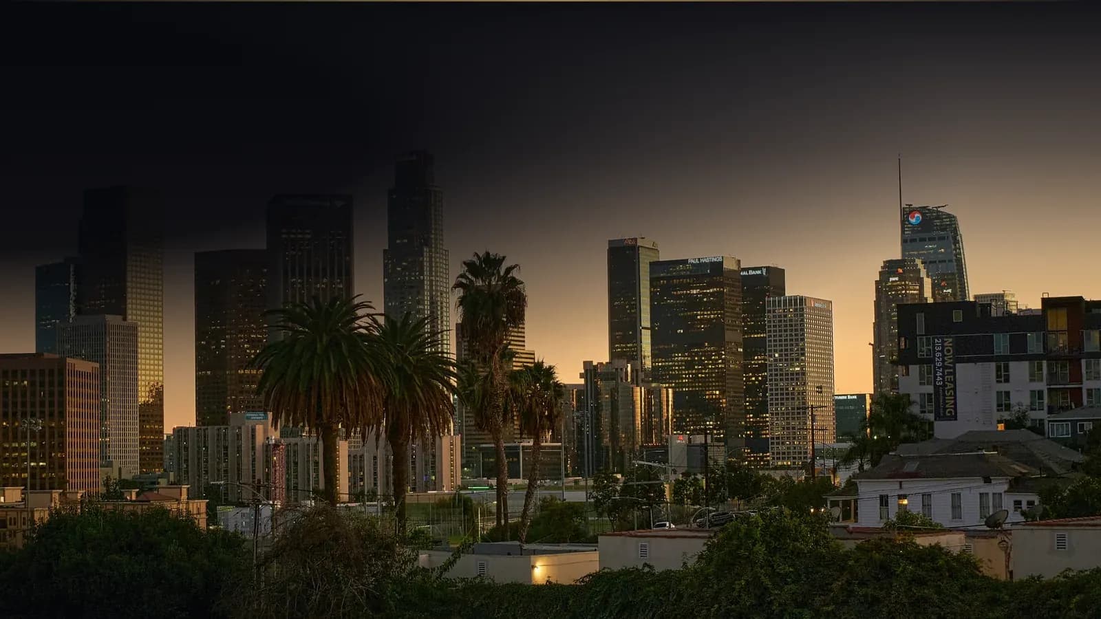Downtown Los Angeles and palm trees at dusk