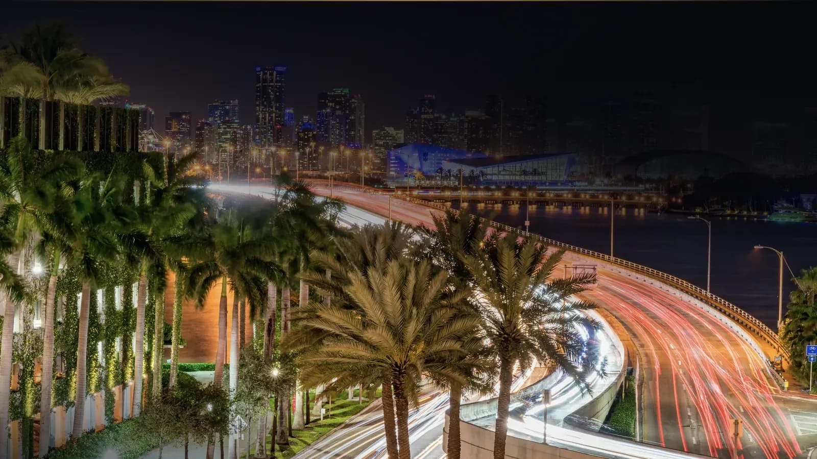 Downtown Miami, palms and light trails at night